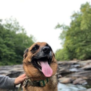 Meet your Posher, Kyle